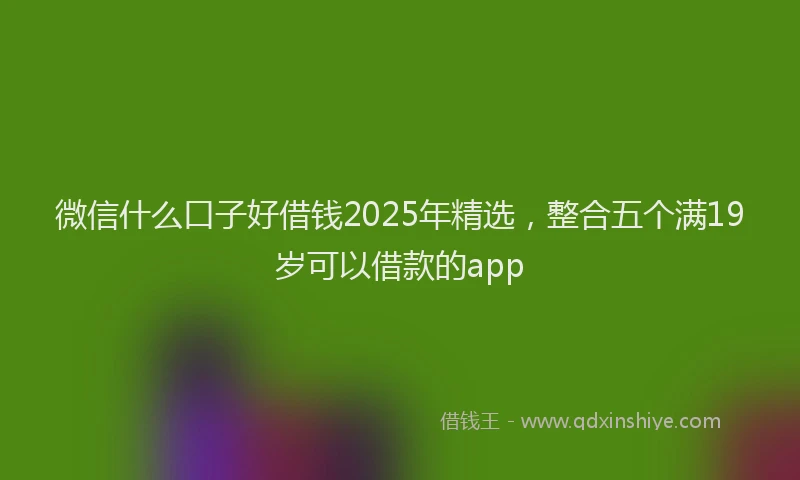 微信什么口子好借钱2025年精选，整合五个满19岁可以借款的app