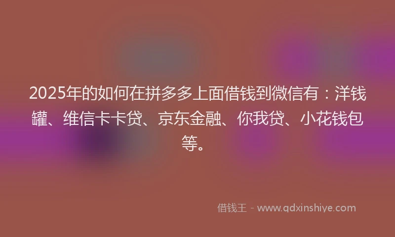 2025年的如何在拼多多上面借钱到微信有：洋钱罐、维信卡卡贷、京东金融、你我贷、小花钱包等。