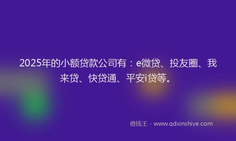2025年的小额贷款公司有：e微贷、投友圈、我来贷、快贷通、平安i贷等。