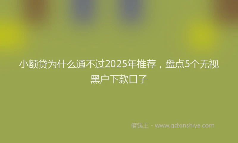 小额贷为什么通不过2025年推荐，盘点5个无视黑户下款口子