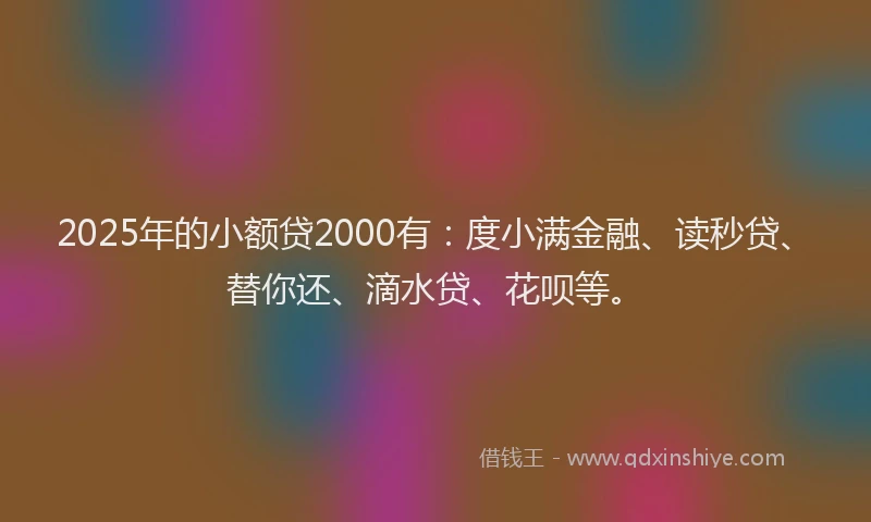 2025年的小额贷2000有：度小满金融、读秒贷、替你还、滴水贷、花呗等。