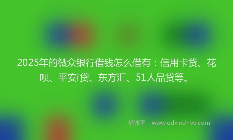 2025年的微众银行借钱怎么借有：信用卡贷、花呗、平安i贷、东方汇、51人品贷等。
