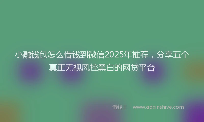 小融钱包怎么借钱到微信2025年推荐，分享五个真正无视风控黑白的网贷平台