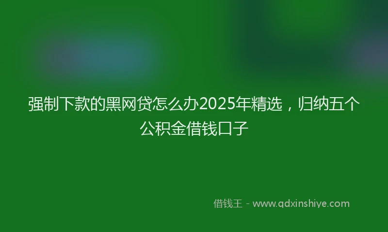 强制下款的黑网贷怎么办2025年精选，归纳五个公积金借钱口子