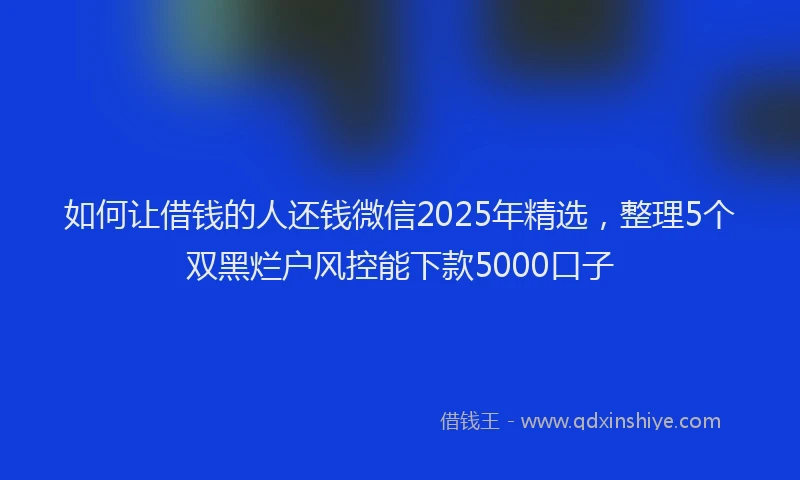 如何让借钱的人还钱微信2025年精选，整理5个双黑烂户风控能下款5000口子