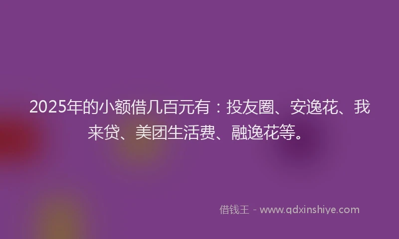 2025年的小额借几百元有：投友圈、安逸花、我来贷、美团生活费、融逸花等。