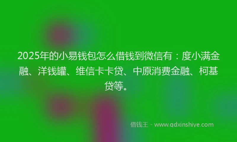 2025年的小易钱包怎么借钱到微信有：度小满金融、洋钱罐、维信卡卡贷、中原消费金融、柯基贷等。