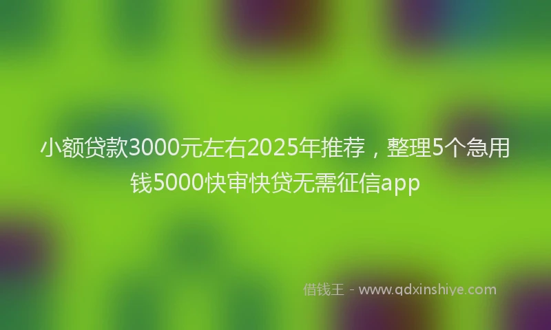 小额贷款3000元左右2025年推荐，整理5个急用钱5000快审快贷无需征信app