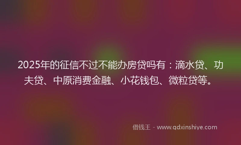 2025年的征信不过不能办房贷吗有：滴水贷、功夫贷、中原消费金融、小花钱包、微粒贷等。