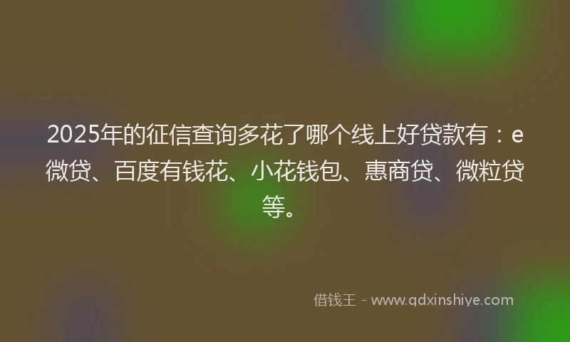 2025年的征信查询多花了哪个线上好贷款有：e微贷、百度有钱花、小花钱包、惠商贷、微粒贷等。