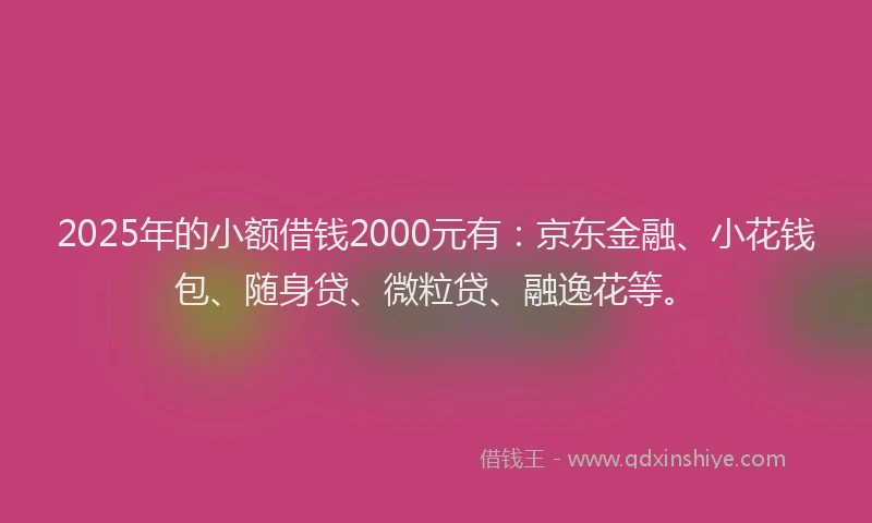 2025年的小额借钱2000元有：京东金融、小花钱包、随身贷、微粒贷、融逸花等。