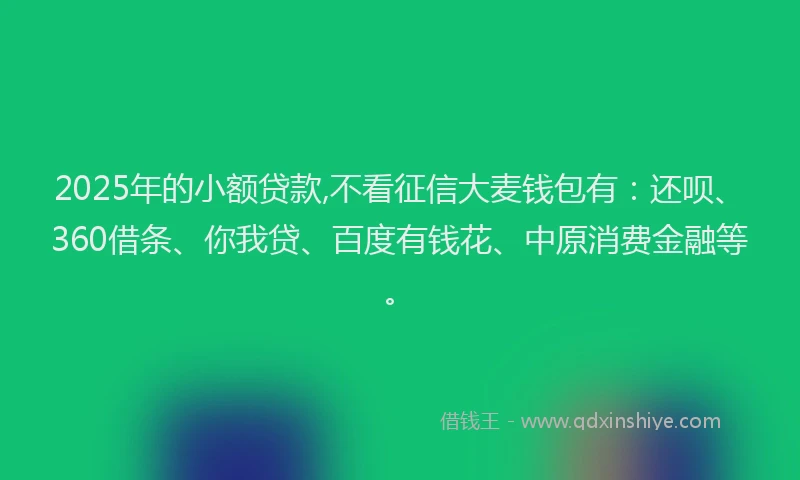 2025年的小额贷款,不看征信大麦钱包有：还呗、360借条、你我贷、百度有钱花、中原消费金融等。