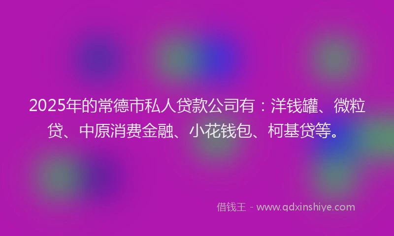 2025年的常德市私人贷款公司有：洋钱罐、微粒贷、中原消费金融、小花钱包、柯基贷等。