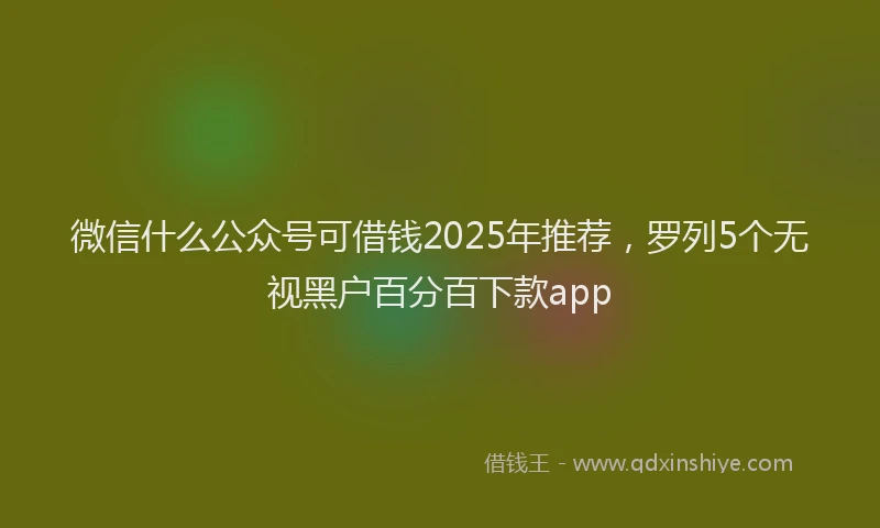 微信什么公众号可借钱2025年推荐，罗列5个无视黑户百分百下款app