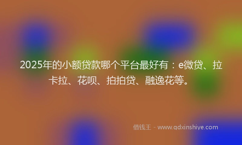 2025年的小额贷款哪个平台最好有：e微贷、拉卡拉、花呗、拍拍贷、融逸花等。