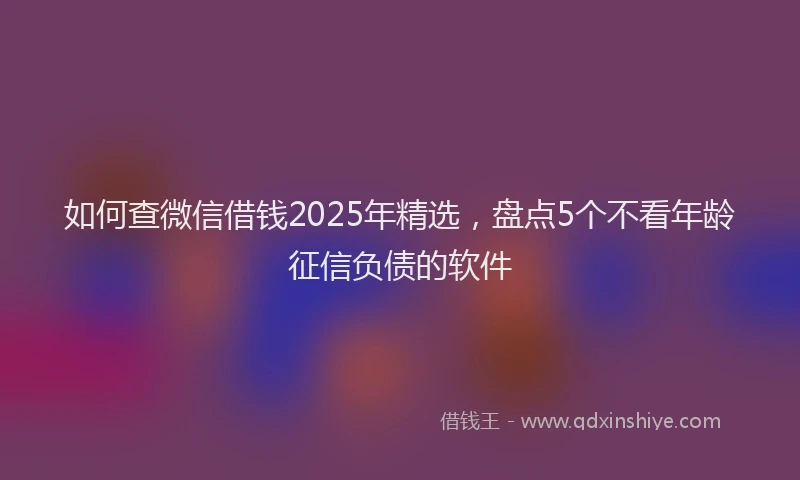 如何查微信借钱2025年精选，盘点5个不看年龄征信负债的软件