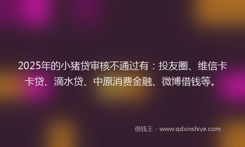 2025年的小猪贷审核不通过有：投友圈、维信卡卡贷、滴水贷、中原消费金融、微博借钱等。