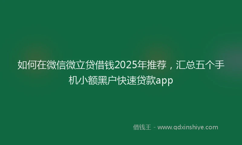 如何在微信微立贷借钱2025年推荐，汇总五个手机小额黑户快速贷款app