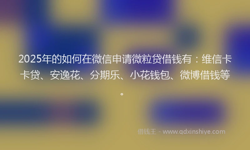 2025年的如何在微信申请微粒贷借钱有：维信卡卡贷、安逸花、分期乐、小花钱包、微博借钱等。
