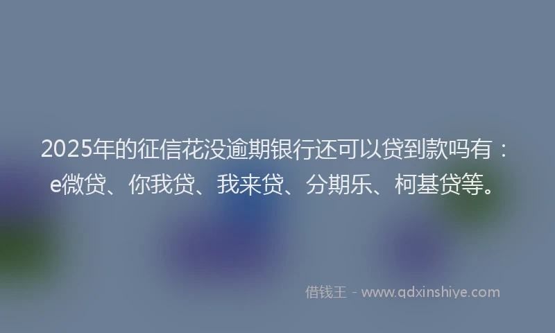 2025年的征信花没逾期银行还可以贷到款吗有：e微贷、你我贷、我来贷、分期乐、柯基贷等。
