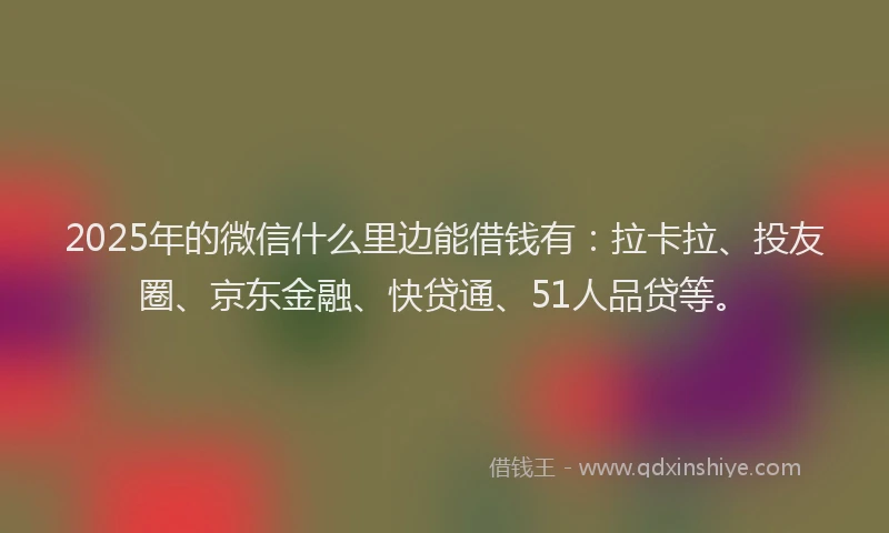 2025年的微信什么里边能借钱有：拉卡拉、投友圈、京东金融、快贷通、51人品贷等。