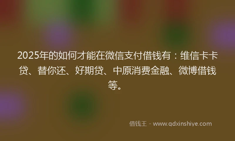 2025年的如何才能在微信支付借钱有：维信卡卡贷、替你还、好期贷、中原消费金融、微博借钱等。