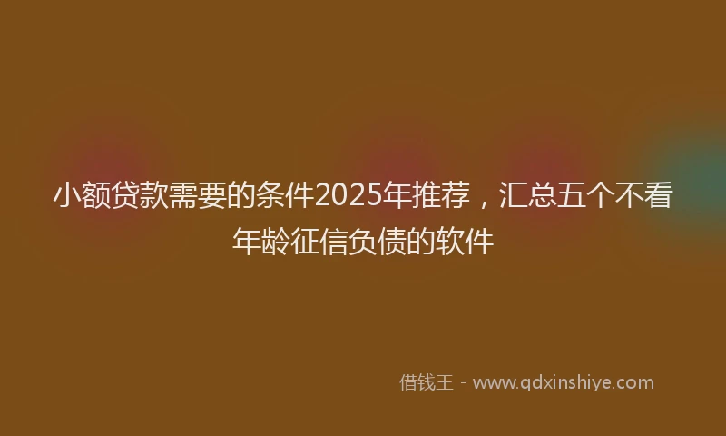 小额贷款需要的条件2025年推荐，汇总五个不看年龄征信负债的软件