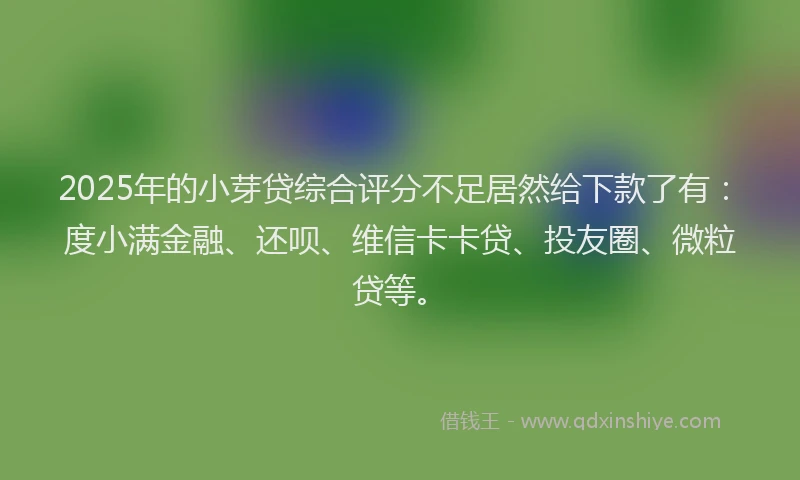 2025年的小芽贷综合评分不足居然给下款了有：度小满金融、还呗、维信卡卡贷、投友圈、微粒贷等。