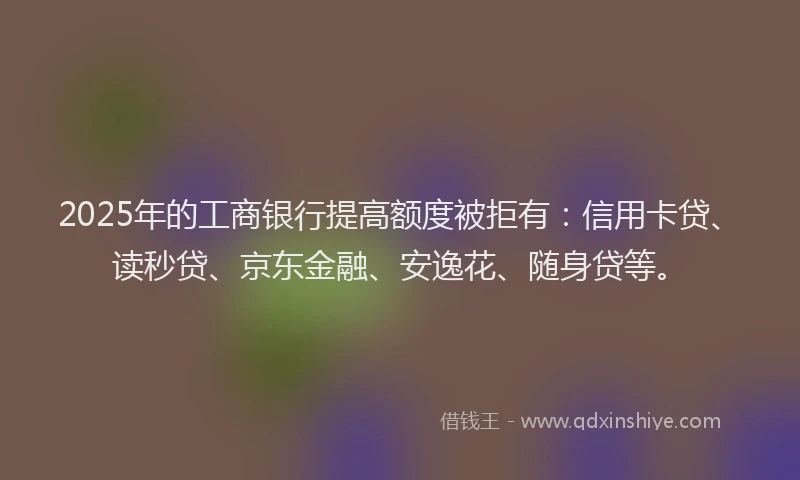 2025年的工商银行提高额度被拒有：信用卡贷、读秒贷、京东金融、安逸花、随身贷等。