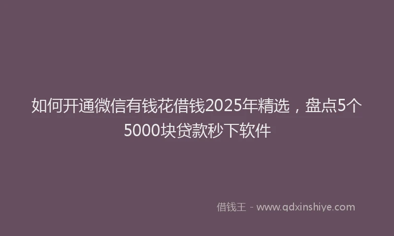 如何开通微信有钱花借钱2025年精选，盘点5个5000块贷款秒下软件