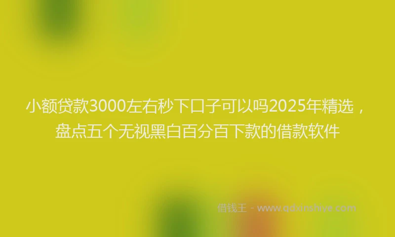 小额贷款3000左右秒下口子可以吗2025年精选，盘点五个无视黑白百分百下款的借款软件