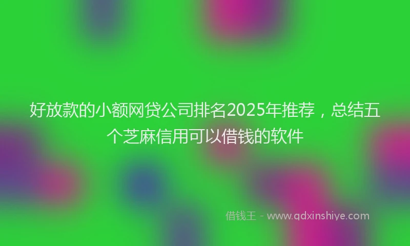 好放款的小额网贷公司排名2025年推荐，总结五个芝麻信用可以借钱的软件