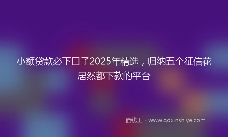 小额贷款必下口子2025年精选，归纳五个征信花居然都下款的平台