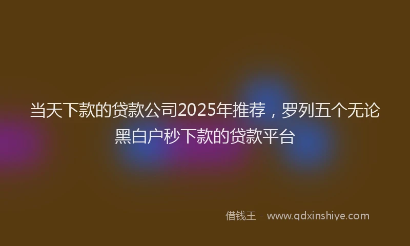 当天下款的贷款公司2025年推荐，罗列五个无论黑白户秒下款的贷款平台