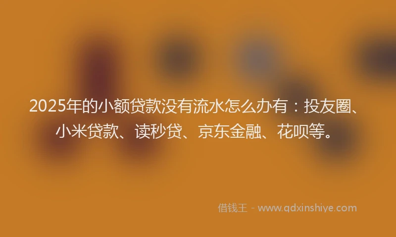 2025年的小额贷款没有流水怎么办有：投友圈、小米贷款、读秒贷、京东金融、花呗等。