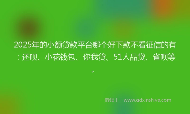 2025年的小额贷款平台哪个好下款不看征信的有：还呗、小花钱包、你我贷、51人品贷、省呗等。