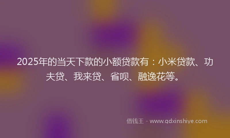 2025年的当天下款的小额贷款有：小米贷款、功夫贷、我来贷、省呗、融逸花等。
