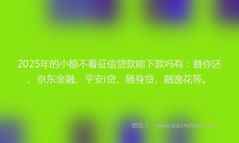 2025年的小额不看征信贷款能下款吗有：替你还、京东金融、平安i贷、随身贷、融逸花等。