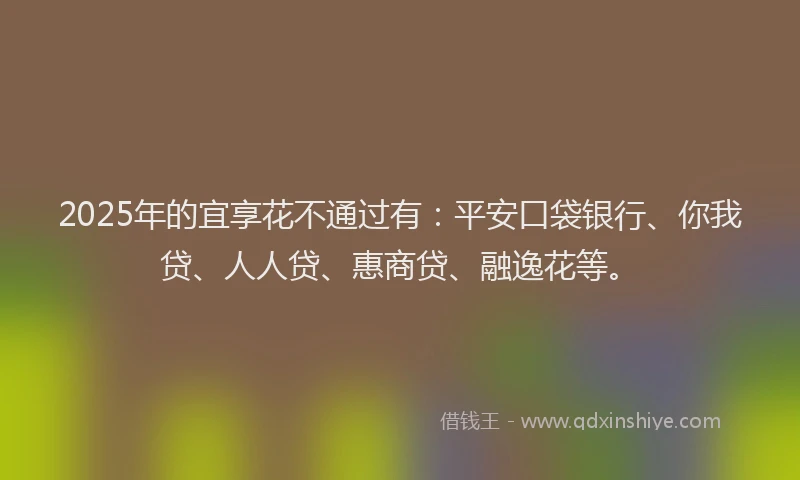 2025年的宜享花不通过有：平安口袋银行、你我贷、人人贷、惠商贷、融逸花等。