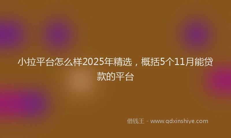 小拉平台怎么样2025年精选，概括5个11月能贷款的平台