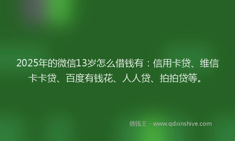 2025年的微信13岁怎么借钱有：信用卡贷、维信卡卡贷、百度有钱花、人人贷、拍拍贷等。