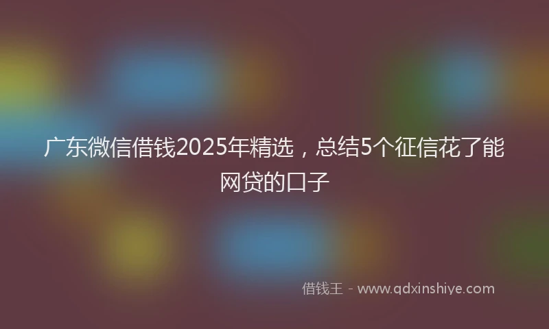 广东微信借钱2025年精选，总结5个征信花了能网贷的口子