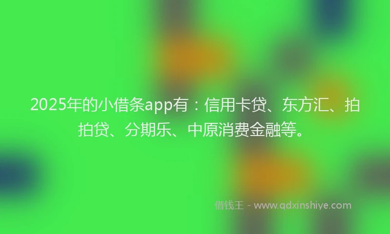 2025年的小借条app有：信用卡贷、东方汇、拍拍贷、分期乐、中原消费金融等。