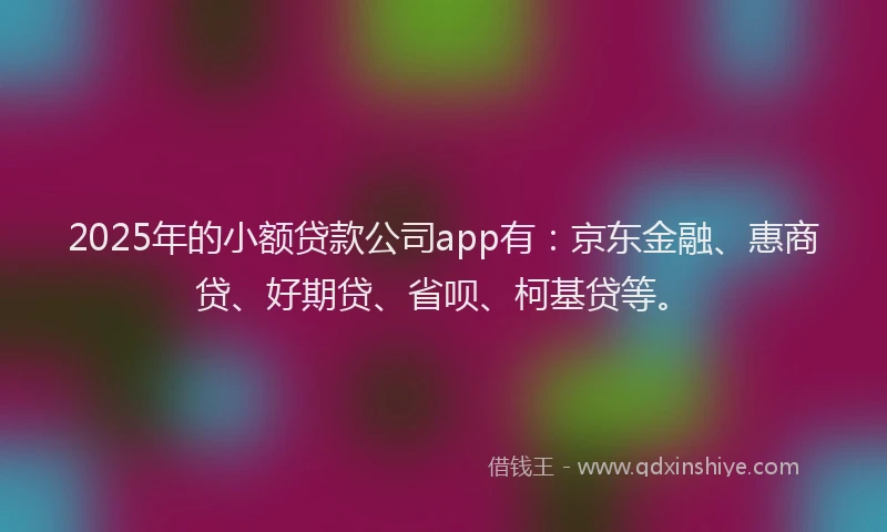 2025年的小额贷款公司app有：京东金融、惠商贷、好期贷、省呗、柯基贷等。