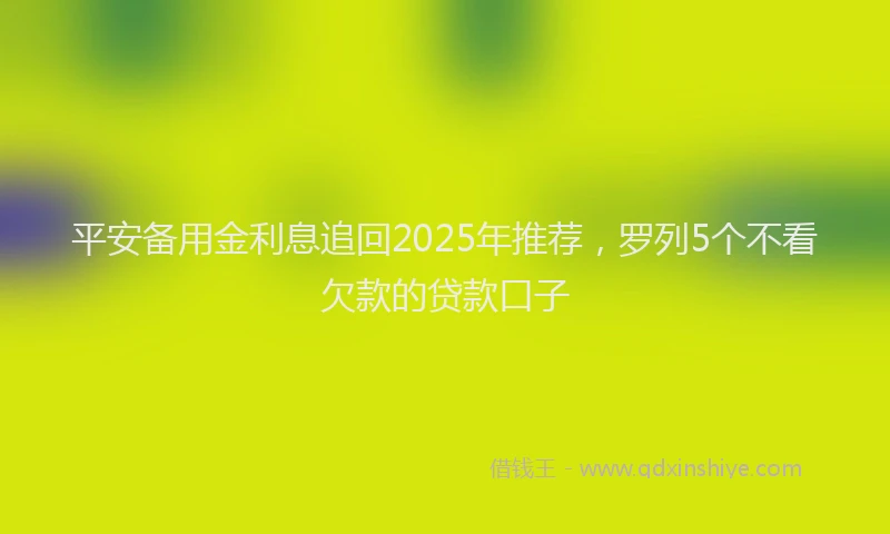 平安备用金利息追回2025年推荐，罗列5个不看欠款的贷款口子