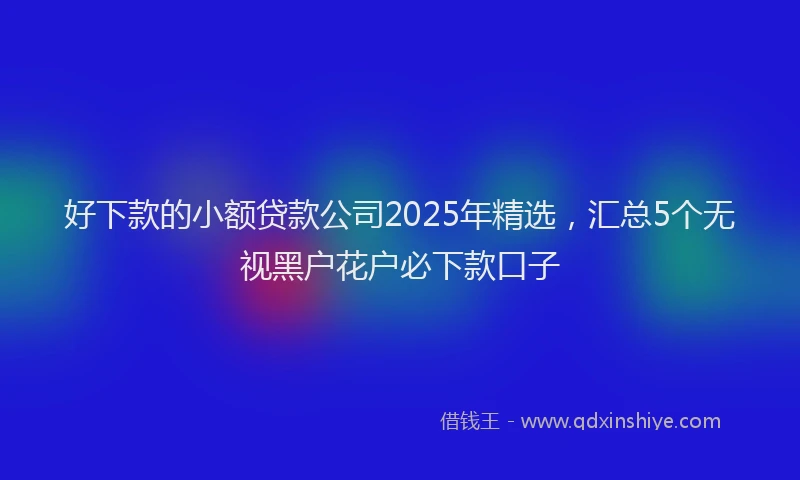 好下款的小额贷款公司2025年精选，汇总5个无视黑户花户必下款口子