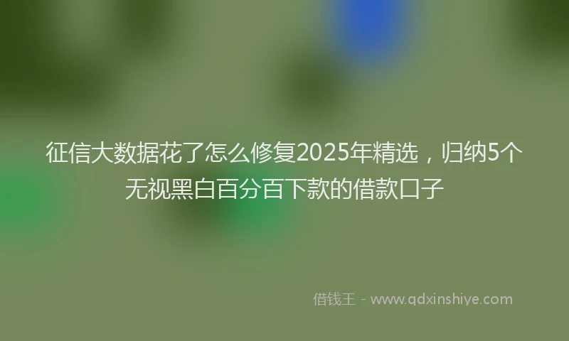 征信大数据花了怎么修复2025年精选，归纳5个无视黑白百分百下款的借款口子