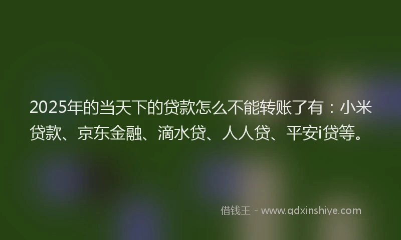 2025年的当天下的贷款怎么不能转账了有：小米贷款、京东金融、滴水贷、人人贷、平安i贷等。