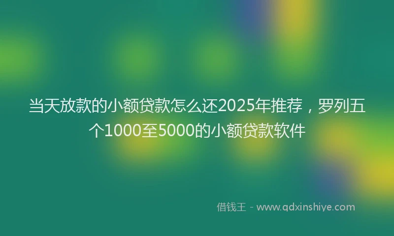 当天放款的小额贷款怎么还2025年推荐，罗列五个1000至5000的小额贷款软件