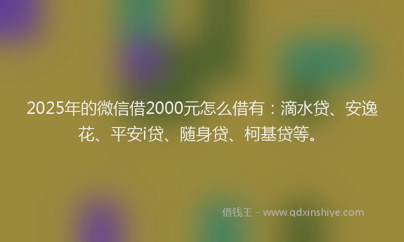 2025年的微信借2000元怎么借有：滴水贷、安逸花、平安i贷、随身贷、柯基贷等。
